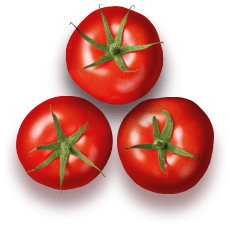 rajčica