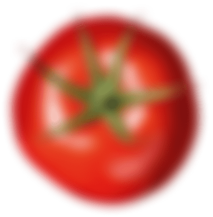 rajčica u blizini